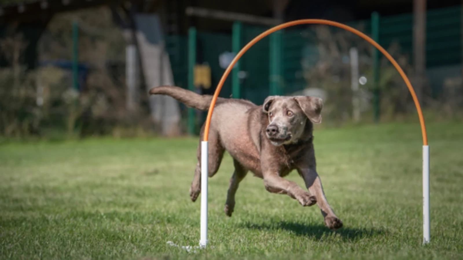 Hoopers – Schnupperworkshop