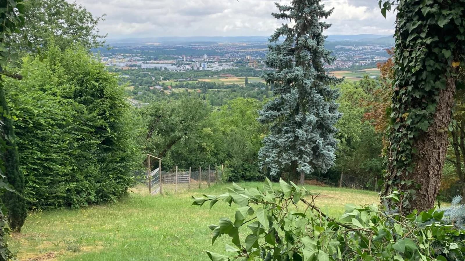 Quiz und Spaß am wunderschönen Kappelberg