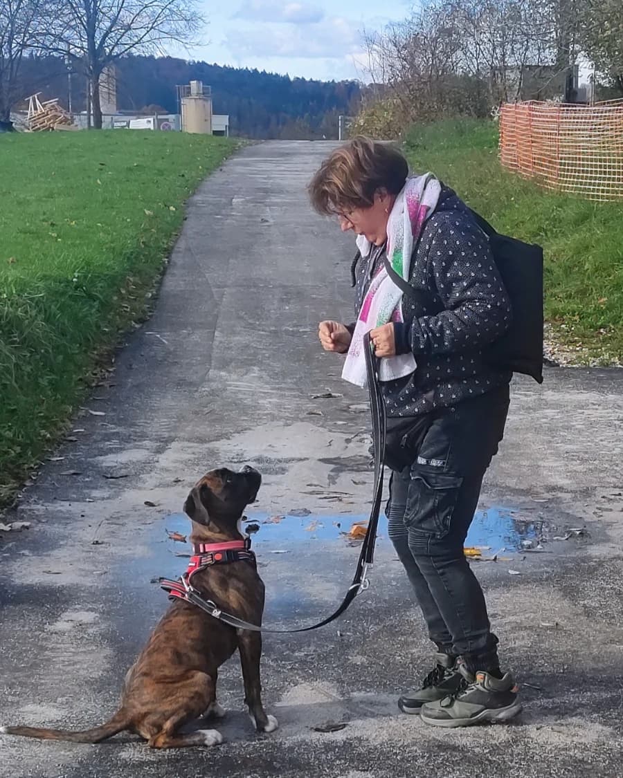 Mein Hund - mein Spiegel