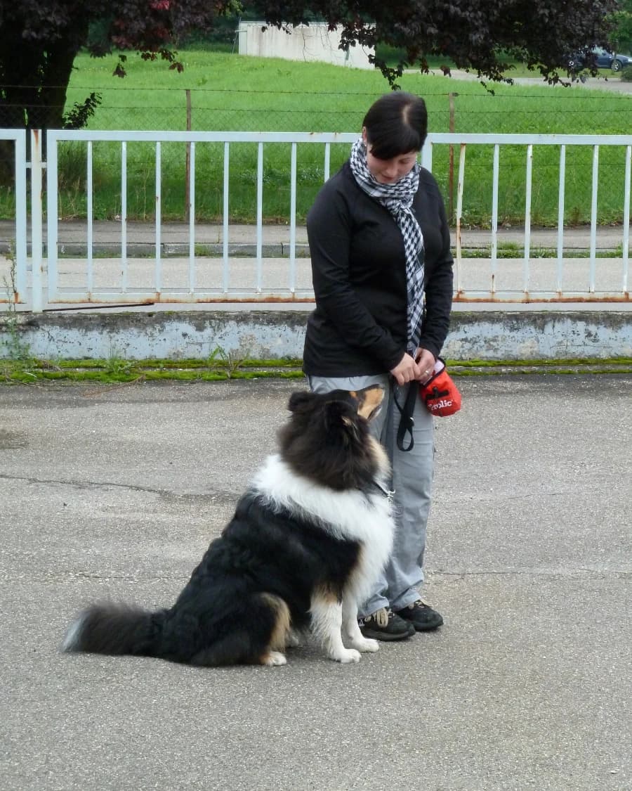 Fun and Work (Offene Gruppe)