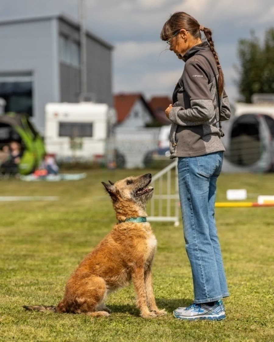 Rally Obedience (Beginner)