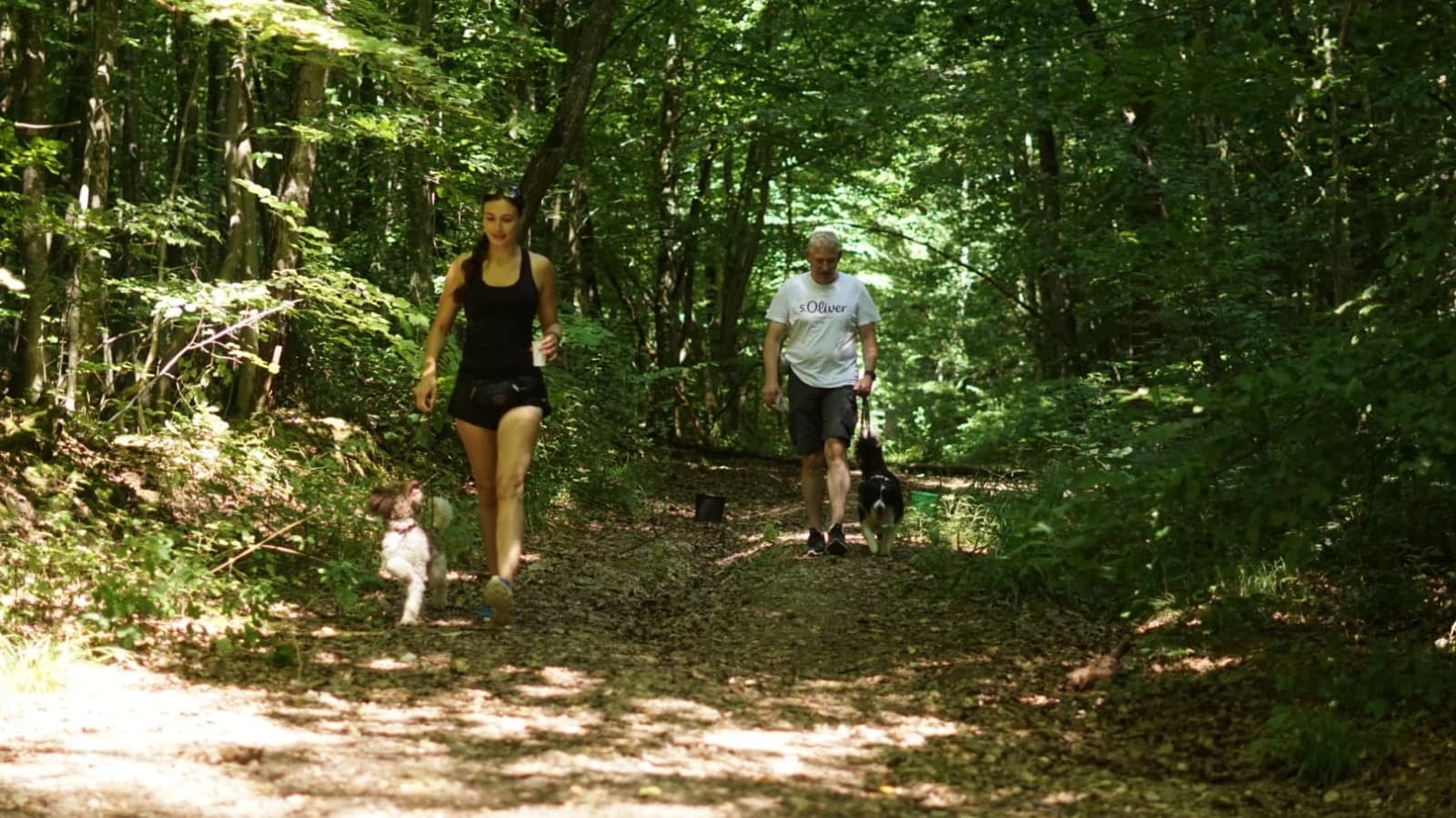Geselliges Wandern
