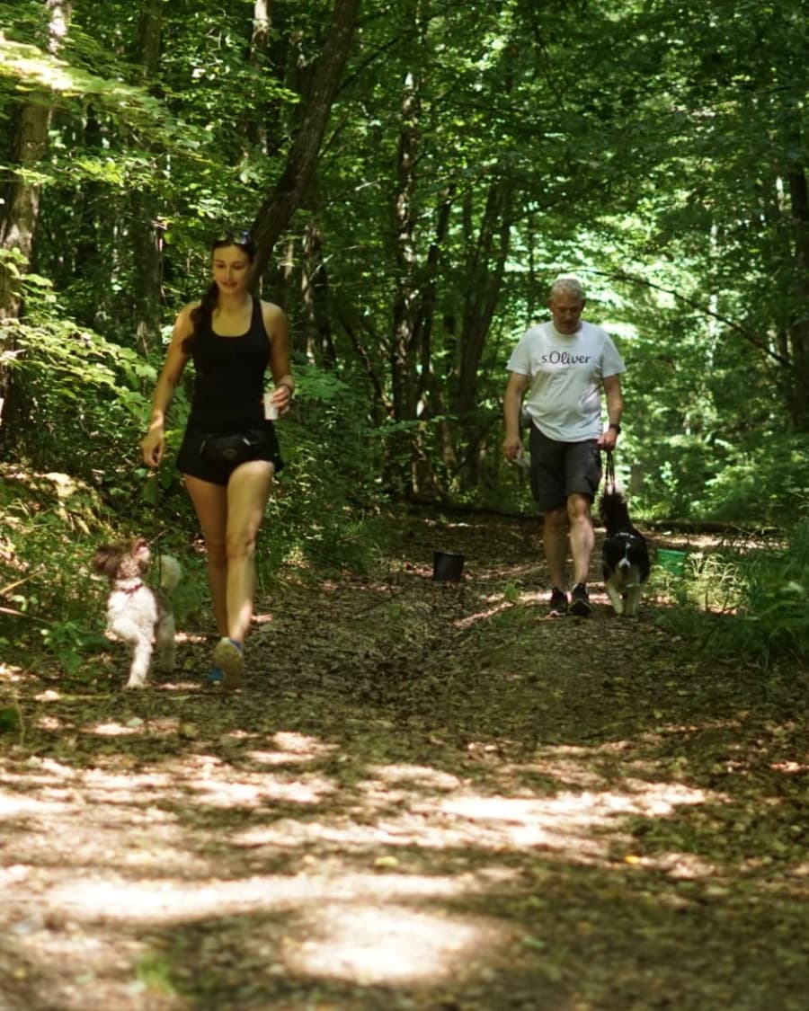 Geselliges Wandern