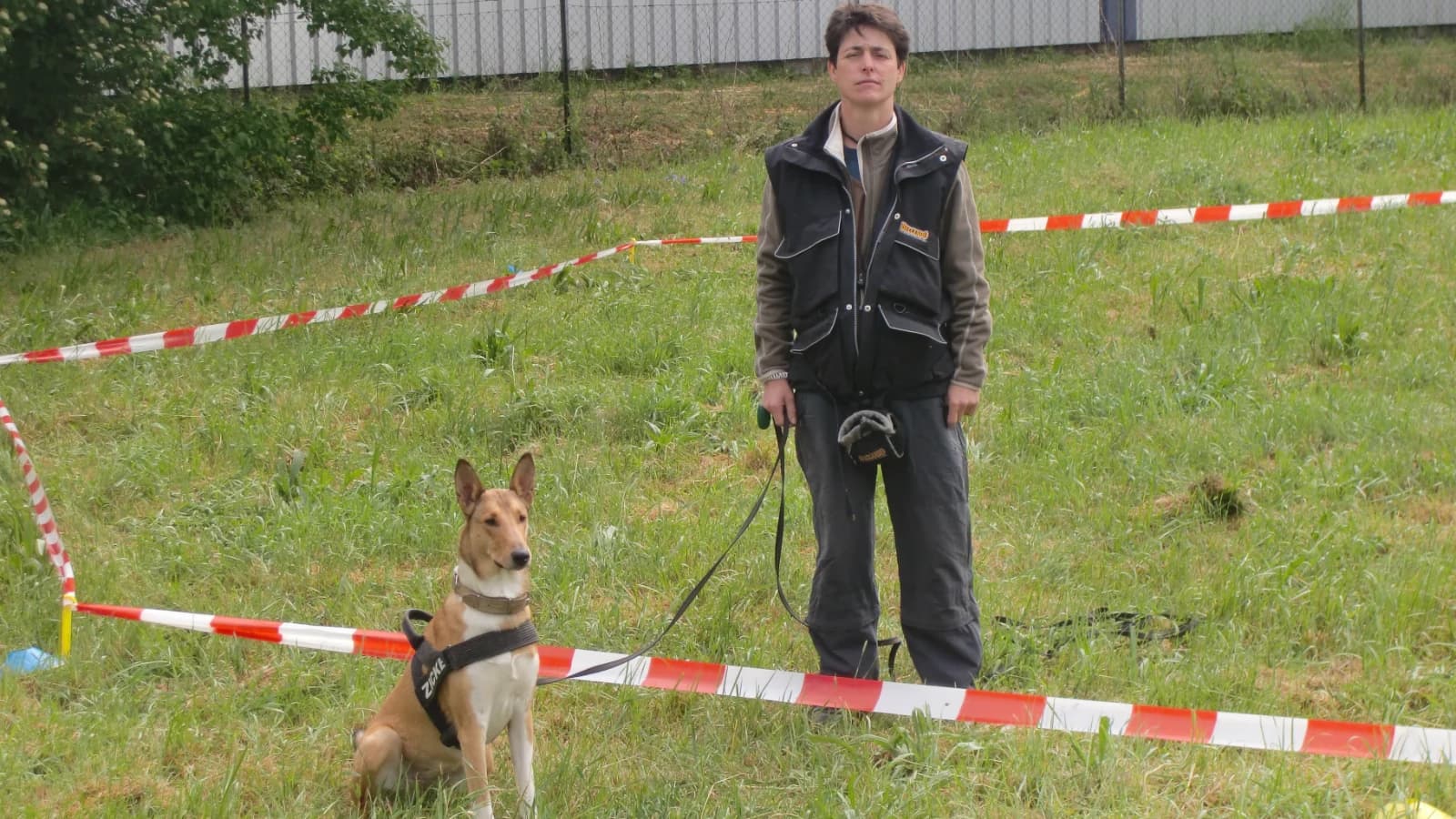 Alltagstraining trifft Longieren