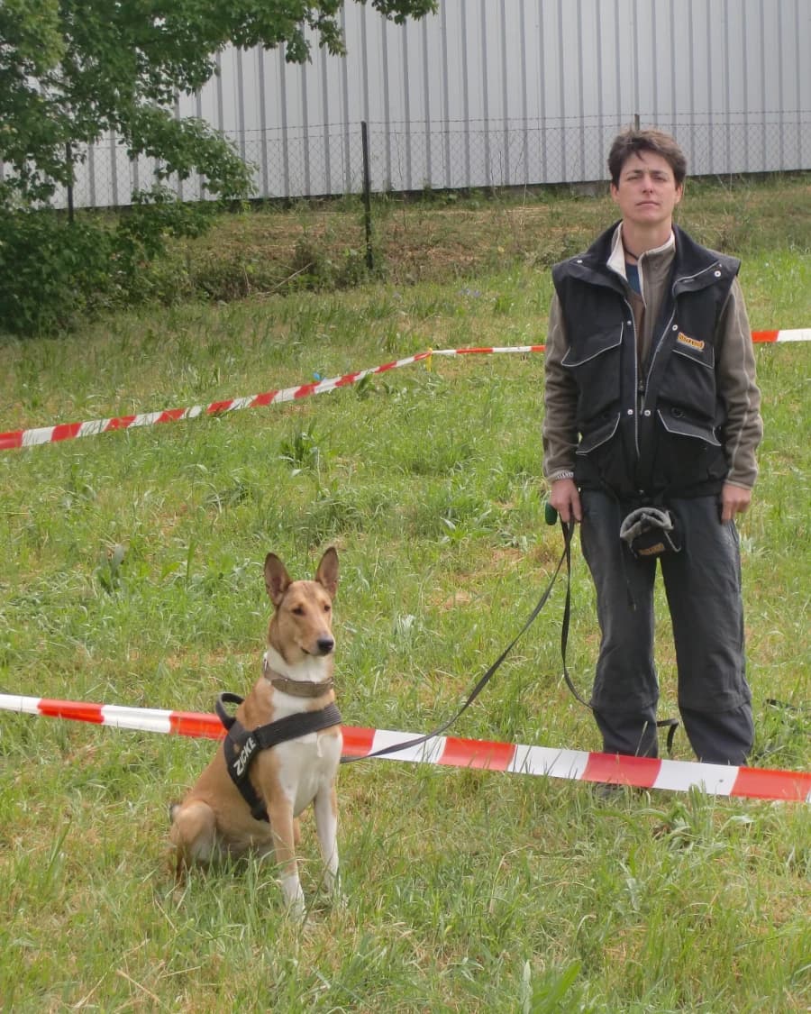 Alltagstraining trifft Longieren