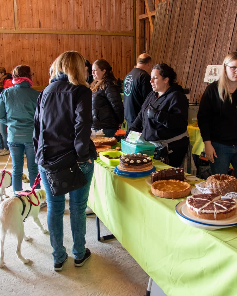 1. Gemeinsames Hundemärktle von Hundeschule Karin Schwarz & BB Shop