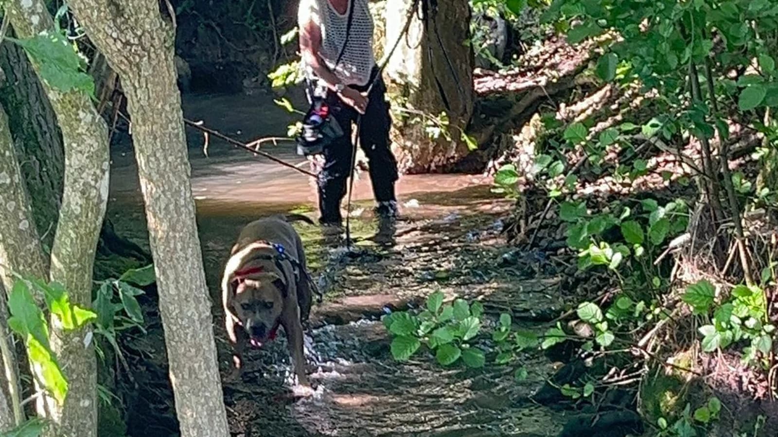 Mantrailing am & im Wasser