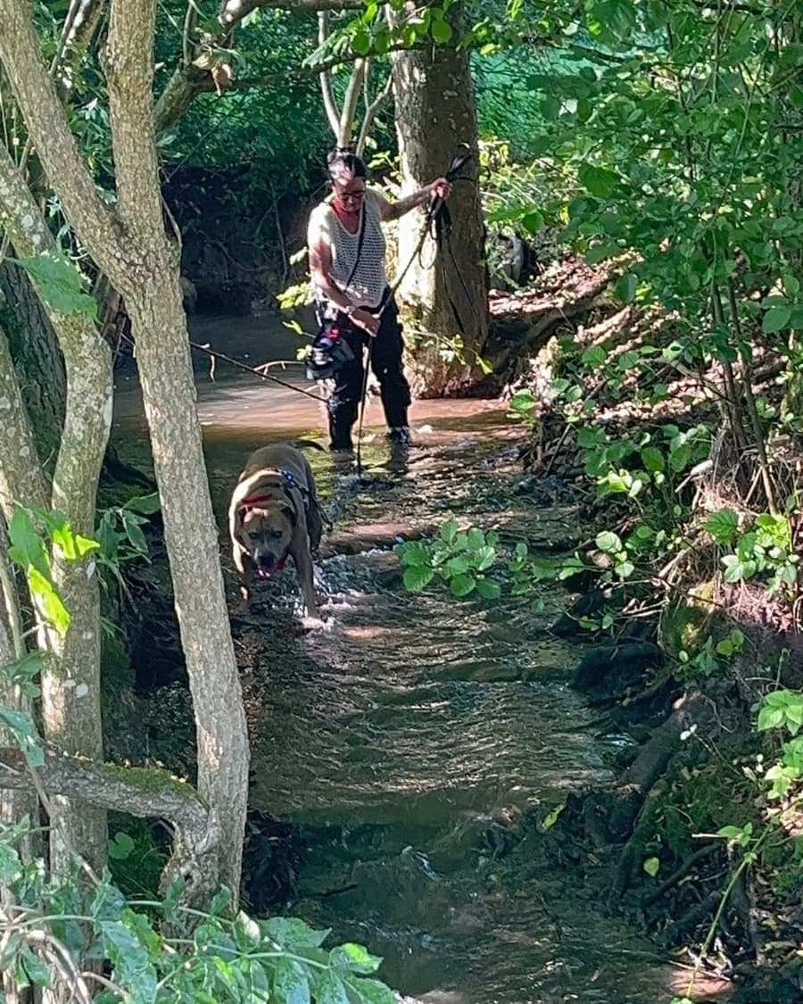 Mantrailing am & im Wasser