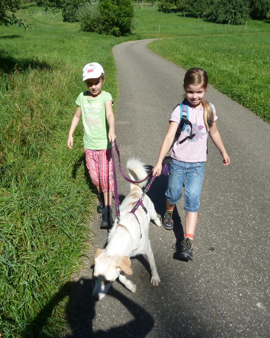 Osterstunde für Kids und ihre Vierbeiner