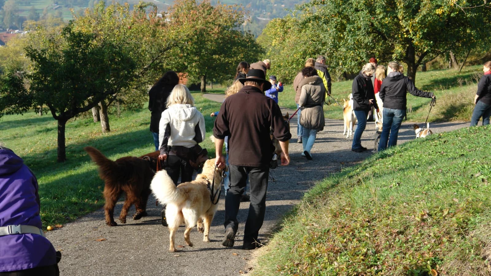 Geführter Spaziergang mit Beschäftigung und Freilauf