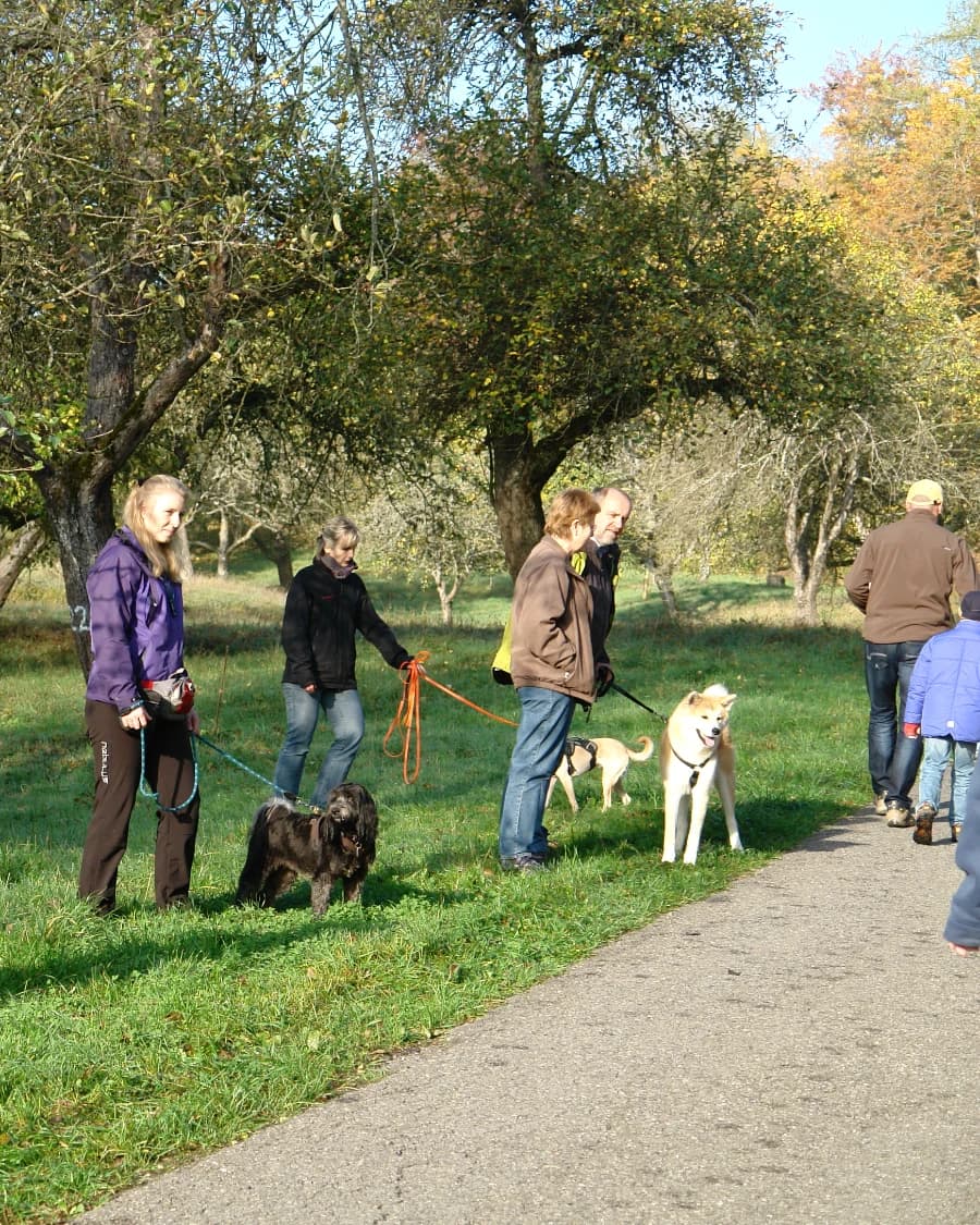 Geführter Spaziergang mit Beschäftigung und Freilauf