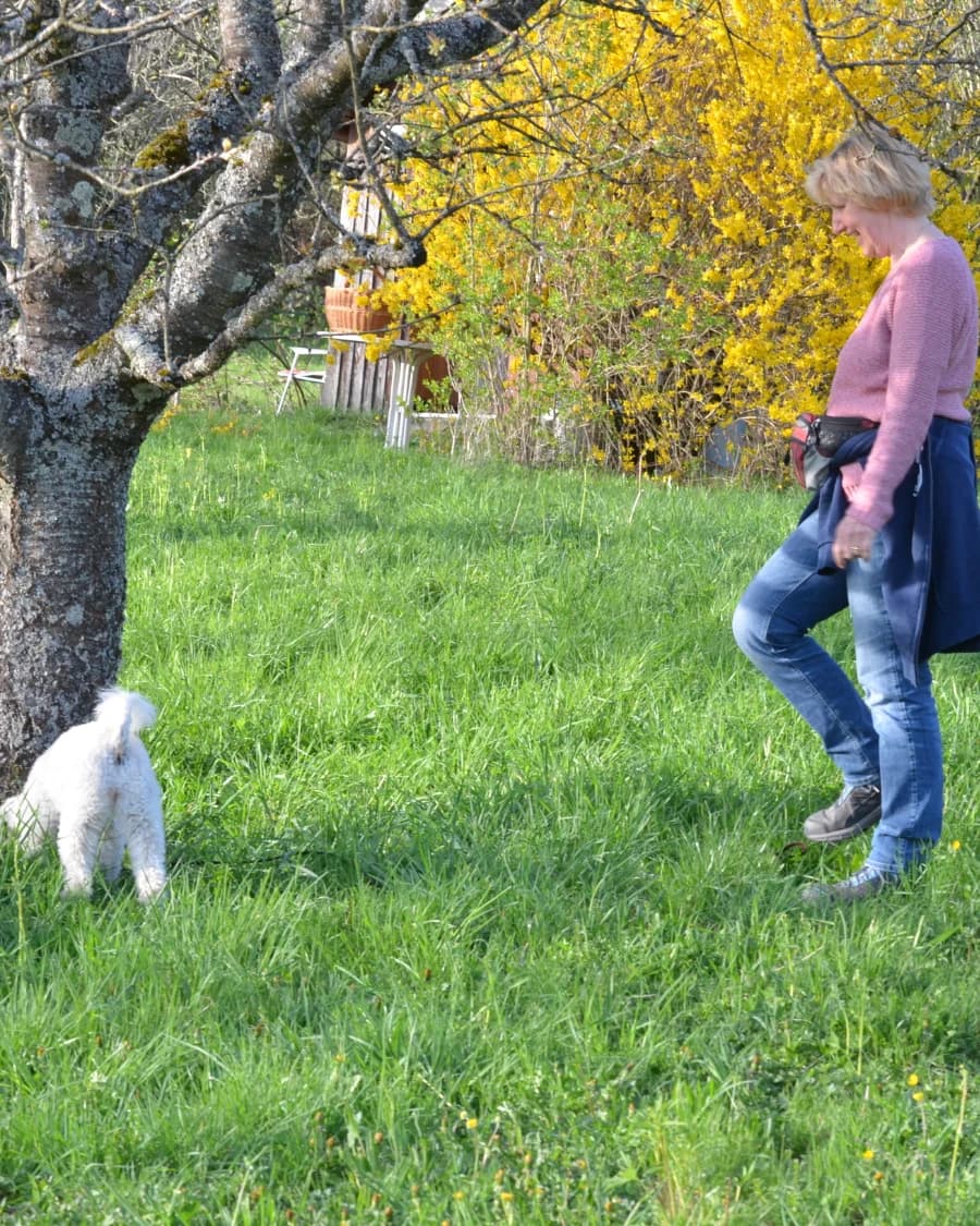 Schleppleinentraining - das richtige Handling