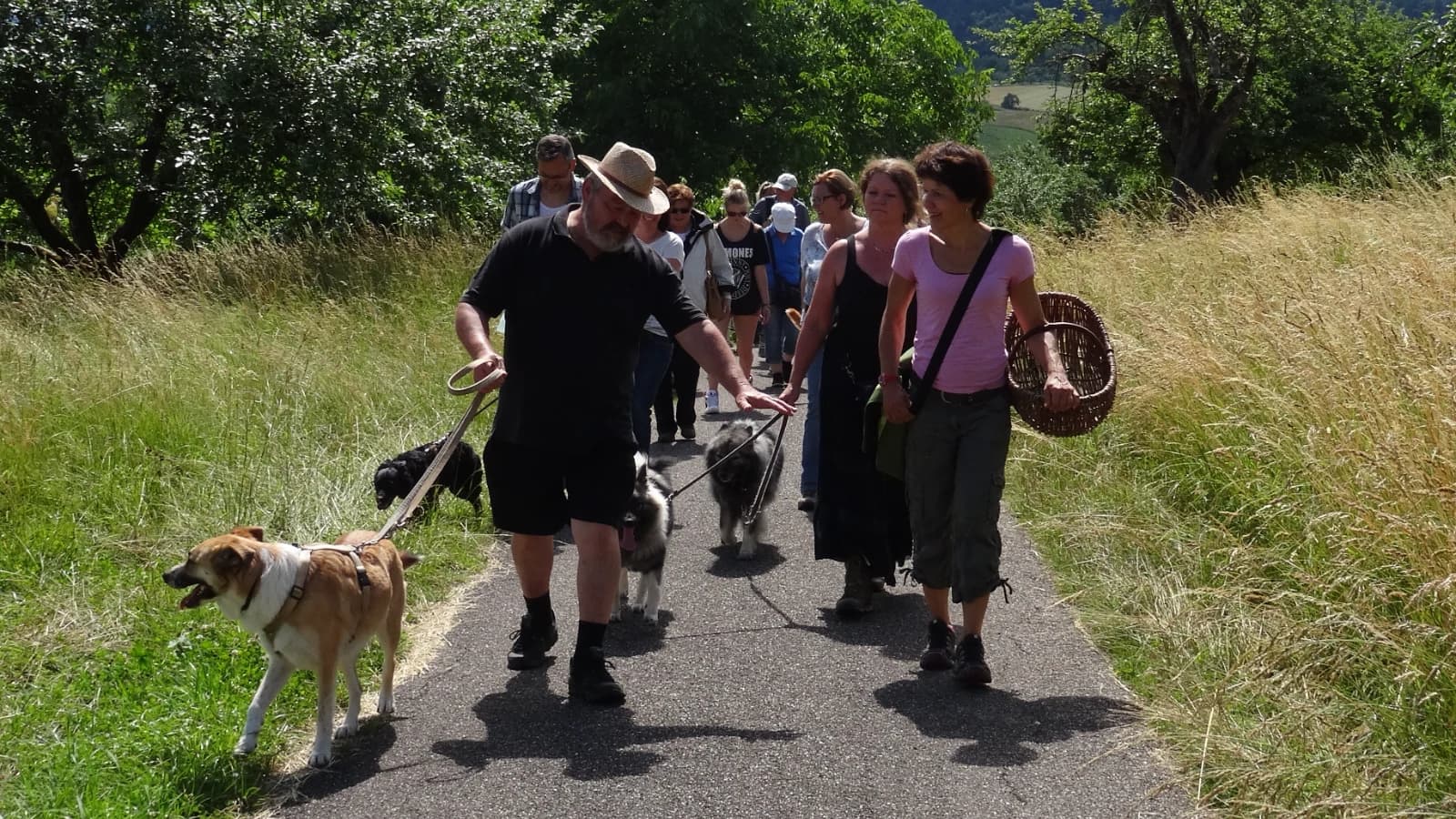 Social Walk