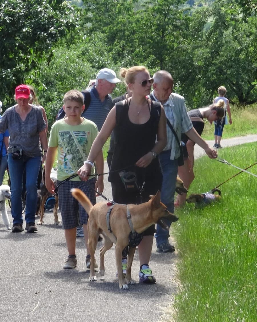 Social Walk