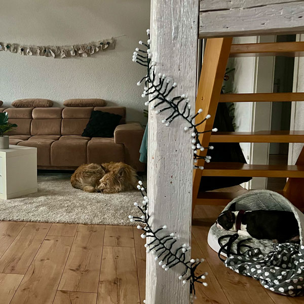Hausbesuche