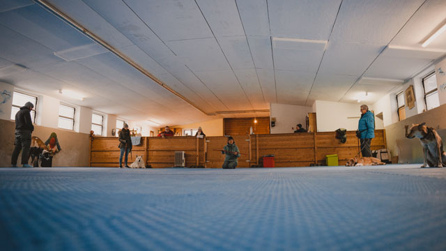 Indoor Training
